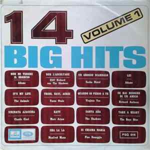 Various - 14 Big Hits - Volume 1 mp3