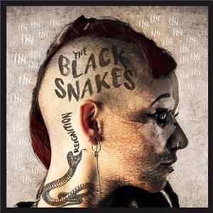 The Black Snakes - Reignition mp3