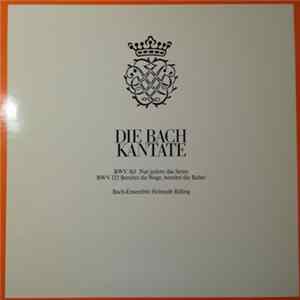 Johann Sebastian Bach, Helmuth Rilling - Die Bach Kantate - BWV 163, BWV 132 mp3