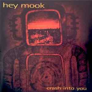 hey mook - Crash Into You mp3