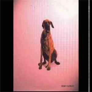 Dakar & Grinser - I Wanna Be Your Dog mp3