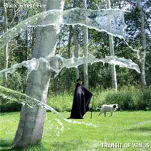 Black Forest Fire - Transit Of Venus mp3
