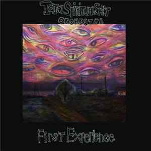 Total Spiritual Split Orchestra - First Experience mp3