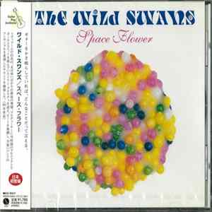 The Wild Swans - Space Flower mp3