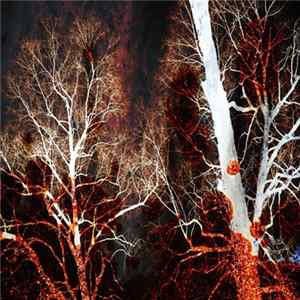 Malicious Wonderland - Psychic Torment mp3