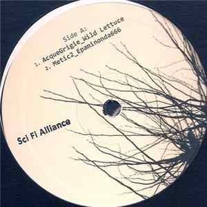 AcqueGrigie / Metic2 - Untitled mp3