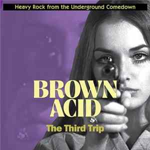 Various - Brown Acid: The Third Trip (Heavy Rock From The Underground Comedown) mp3