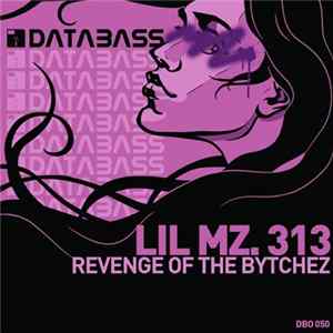 Lil Mz. 313 - Revenge Of The Bytchez mp3