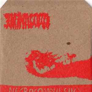 Infanticidio - Necrocompulsivo mp3