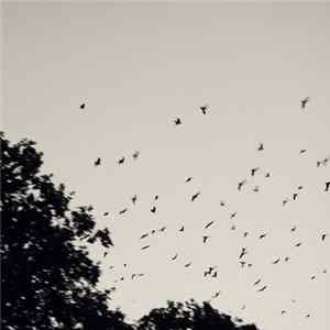 Colbets - Come To The Surface mp3