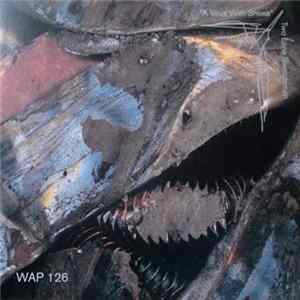 Two Lone Swordsmen - A Virus With Shoes mp3