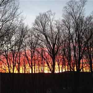 Dweller On The Threshold - Barnfire mp3