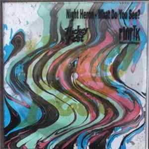 Night Heron - What Do You See? mp3