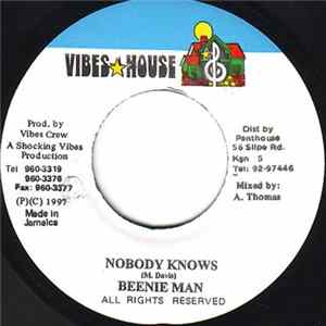Beenie Man - Nobody Knows mp3