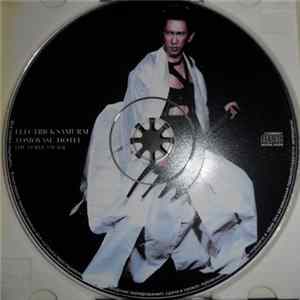 Tomoyasu Hotei - Electric Samurai mp3