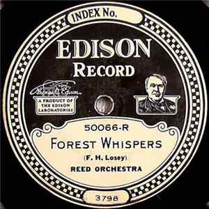 Reed Orchestra - Forest Whispers / The Birds And The Brook mp3
