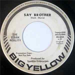 The Stark Reality - Say Brother mp3