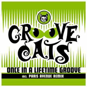 Groove Cats - Once In A Lifetime Groove mp3