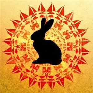 Ray & The Fool - Black Rabbit mp3