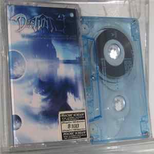 Destinity - Supreme Domination's Art mp3
