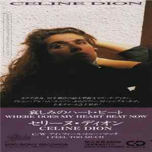 Celine Dion - Where Does My Heart Beat Now mp3