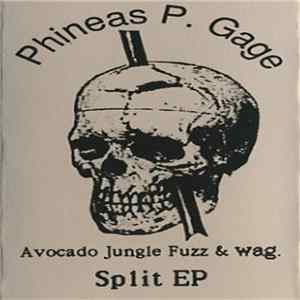 Avocado Jungle Fuzz, Wag. - Phineas P. Gage mp3