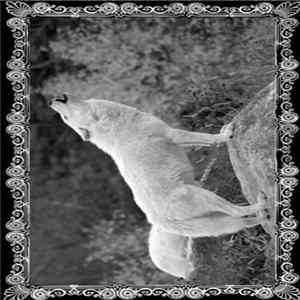 Wolves Eyes - Beneath The Banners Of The Elders mp3