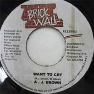 A. J. Brown - Want To Cry mp3