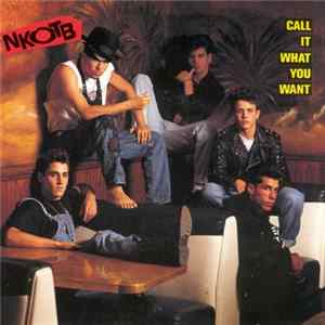 New Kids On The Block - Call It What You Want mp3