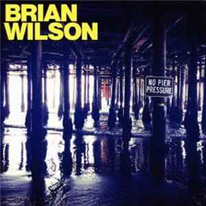 Brian Wilson - No Pier Pressure mp3