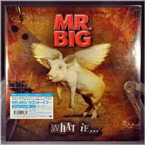 Mr. Big - What If... mp3