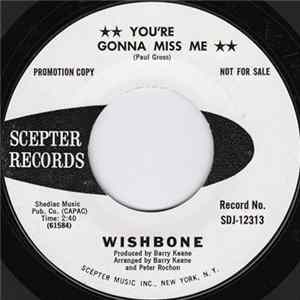 Wishbone - You're Gonna Miss Me mp3