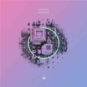 Einmusik - Blooming mp3