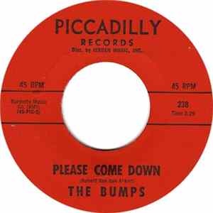 The Bumps - Baby Blue / Please Come Down mp3