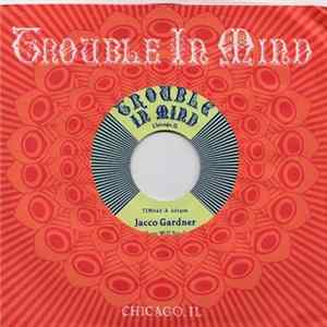 Jacco Gardner - Where Will You Go mp3