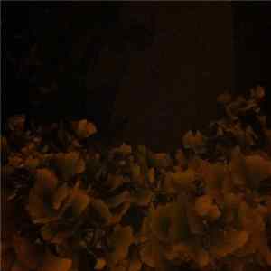 Velleitie - Eye Level With The Gleam mp3