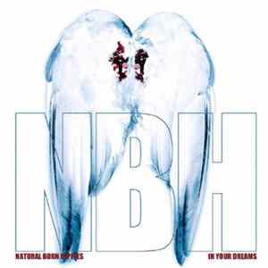 Natural Born Hippies - In Your Dreams mp3