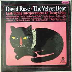 David Rose - The Velvet Beat mp3