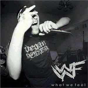 What We Feel - Demo mp3