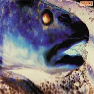 Rotor / The Stillborn - H.A.L.9000 / Highway Of Love mp3