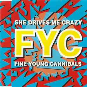 FYC - She Drives Me Crazy mp3