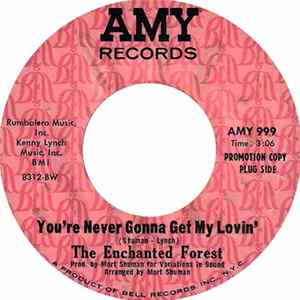 The Enchanted Forest - You're Never Gonna Get My Lovin' mp3