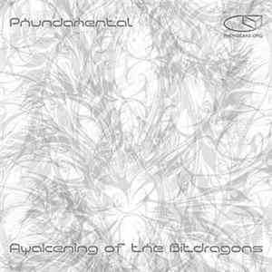 Phundamental - Awakening Of The Bit Dragons mp3