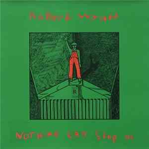 Robert Wyatt - Nothing Can Stop Us mp3