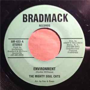 The Mighty Soul Cats / The Quarter Notes - Environment / I'ghts, Green & Gold Dub mp3