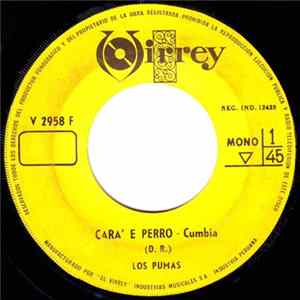 Los Pumas - Cara E Perro mp3