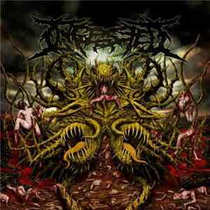 Ingested - Surpassing The Boundaries Of Human Suffering mp3