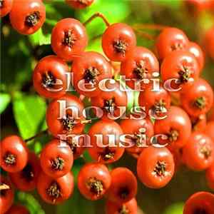 Various - Electric House Music mp3