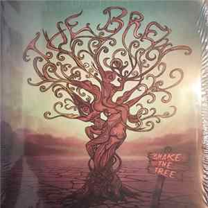 The Brew - Shake The Tree mp3