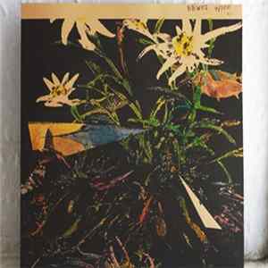 North American War - Ivory And / Geraniums On A Spit mp3